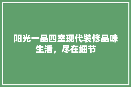 阳光一品四室现代装修品味生活，尽在细节