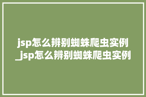 jsp怎么辨别蜘蛛爬虫实例_jsp怎么辨别蜘蛛爬虫实例是否正确