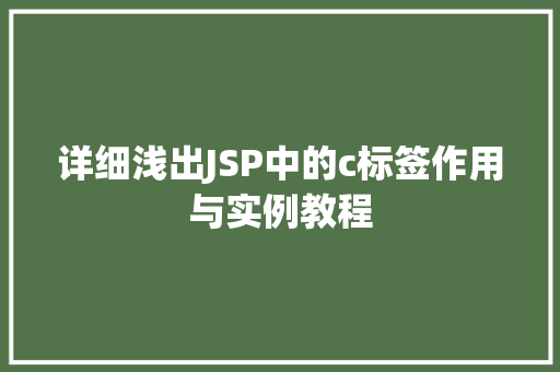 详细浅出JSP中的c标签作用与实例教程 第1张 详细浅出JSP中的c标签作用与实例教程 第1张