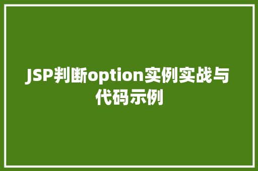 JSP判断option实例实战与代码示例  第1张