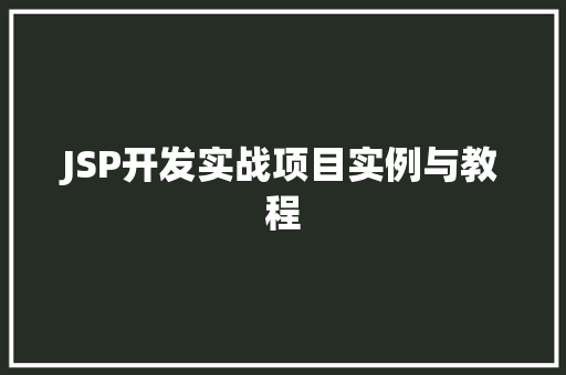 JSP开发实战项目实例与教程  第1张