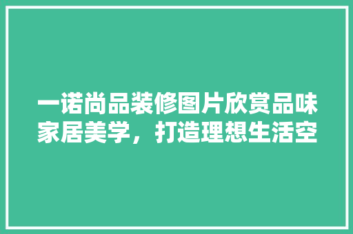 一诺尚品装修图片欣赏品味家居美学，打造理想生活空间