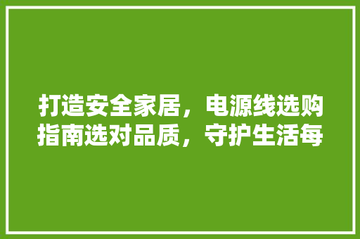打造安全家居，电源线选购指南选对品质，守护生活每一刻