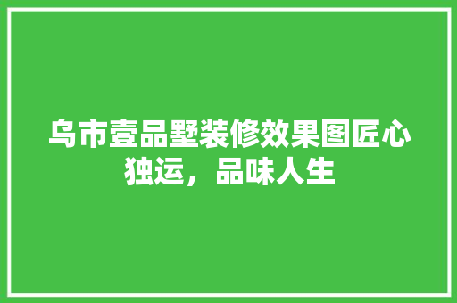 乌市壹品墅装修效果图匠心独运，品味人生