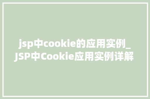 jsp中cookie的应用实例_JSP中Cookie应用实例详解从入门到精通