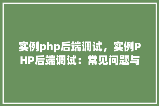 实例php后端调试，实例PHP后端调试：常见问题与解决方法