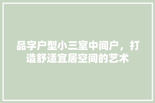 品字户型小三室中间户，打造舒适宜居空间的艺术