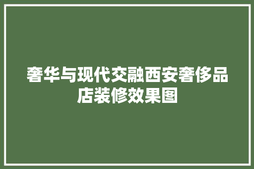 奢华与现代交融西安奢侈品店装修效果图