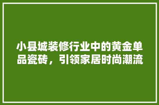 小县城装修行业中的黄金单品瓷砖，引领家居时尚潮流