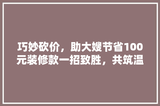 巧妙砍价，助大嫂节省100元装修款一招致胜，共筑温馨家园
