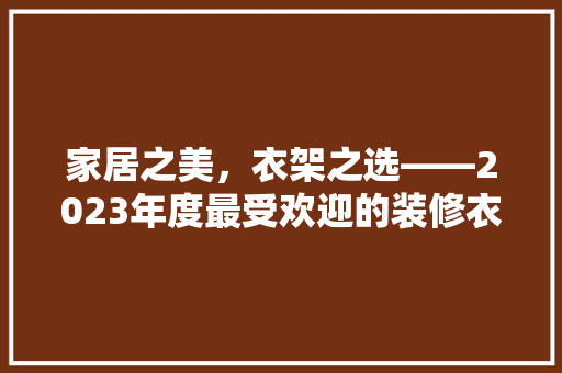 家居之美，衣架之选——2023年度最受欢迎的装修衣架