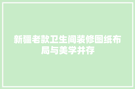新疆老款卫生间装修图纸布局与美学并存