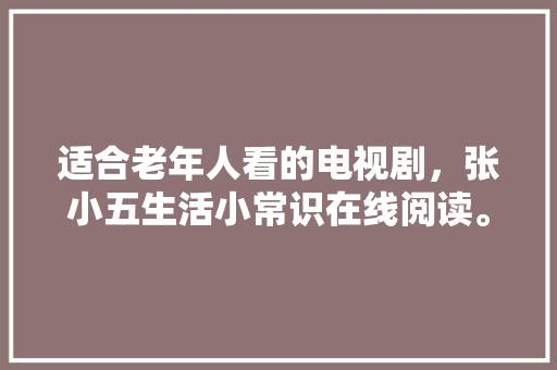 大排档旧款装修风格传统与现代的交融之美
