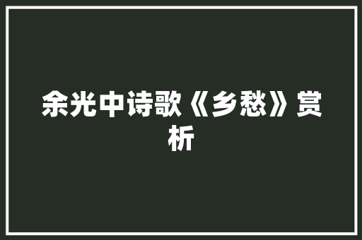 瓷妆新潮流装修界的热门推荐——瓷妆品牌大盘点