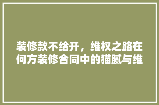 装修款不给开，维权之路在何方装修合同中的猫腻与维权之路