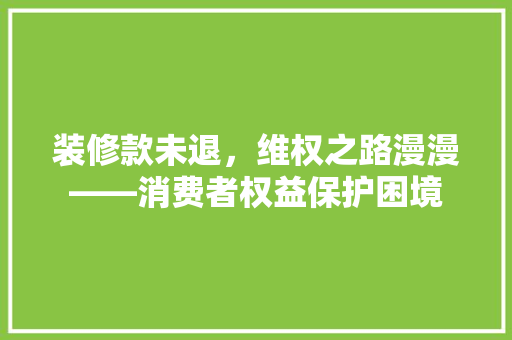 装修款未退，维权之路漫漫——消费者权益保护困境
