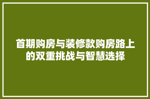 首期购房与装修款购房路上的双重挑战与智慧选择