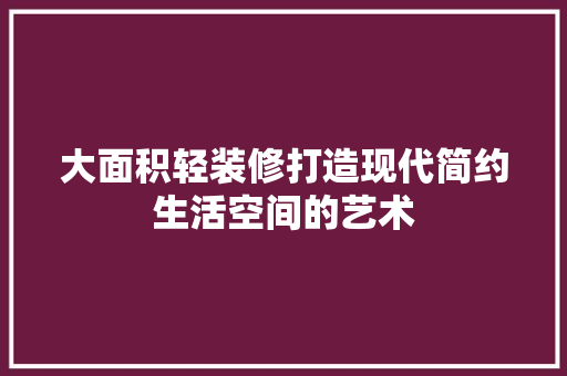 大面积轻装修打造现代简约生活空间的艺术