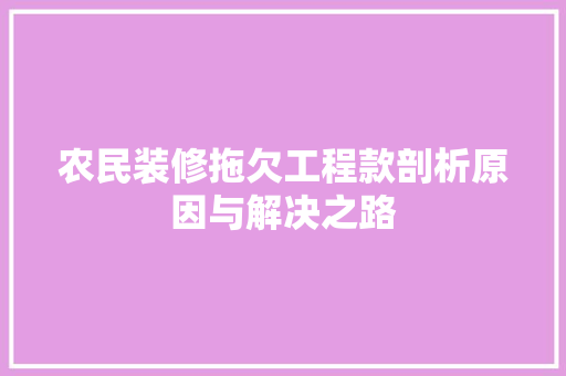 农民装修拖欠工程款剖析原因与解决之路
