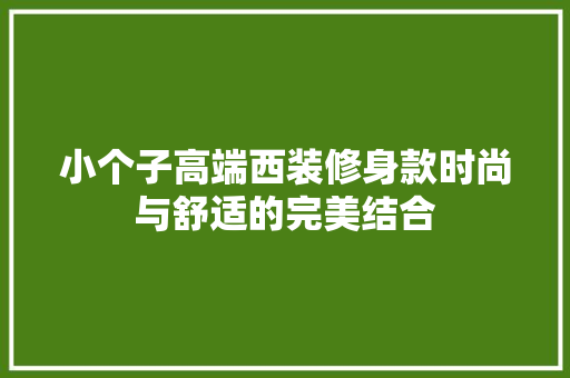 小个子高端西装修身款时尚与舒适的完美结合