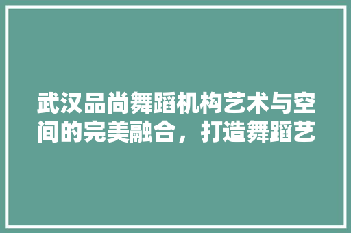 武汉品尚舞蹈机构艺术与空间的完美融合，打造舞蹈艺术的殿堂