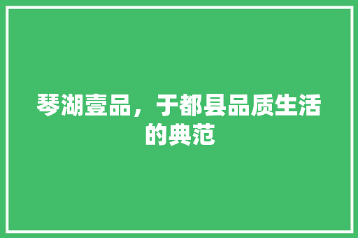 琴湖壹品，于都县品质生活的典范