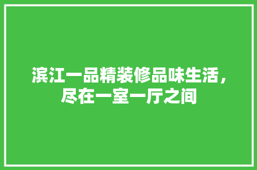 滨江一品精装修品味生活，尽在一室一厅之间