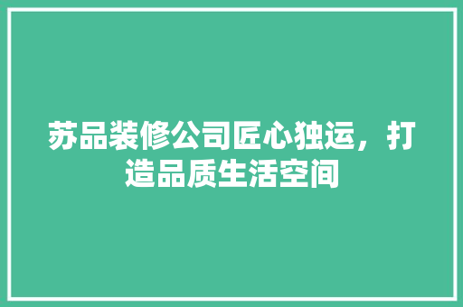 苏品装修公司匠心独运，打造品质生活空间
