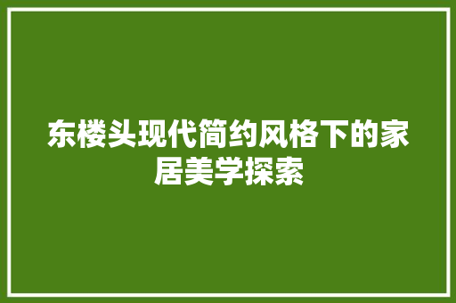 东楼头现代简约风格下的家居美学探索