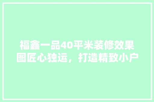 福鑫一品40平米装修效果图匠心独运，打造精致小户型空间