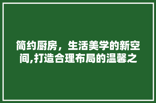 简约厨房，生活美学的新空间,打造合理布局的温馨之家