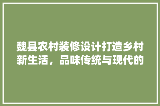 魏县农村装修设计打造乡村新生活，品味传统与现代的交融