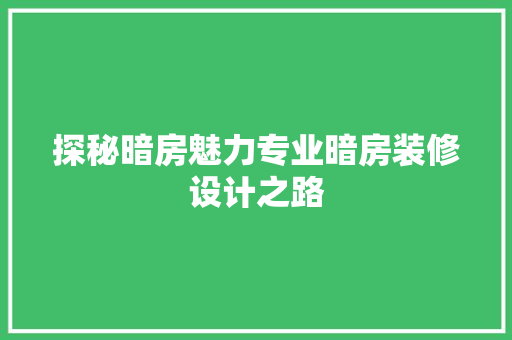 探秘暗房魅力专业暗房装修设计之路