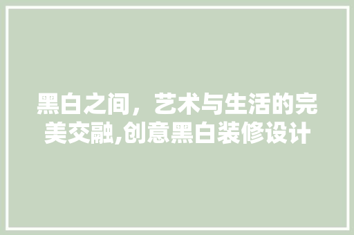 黑白之间，艺术与生活的完美交融,创意黑白装修设计探析