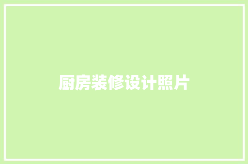 厨房装修设计照片