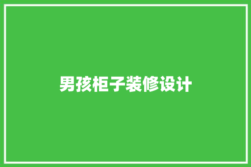 男孩柜子装修设计