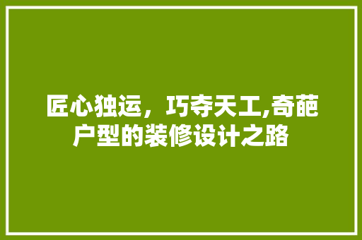 匠心独运，巧夺天工,奇葩户型的装修设计之路