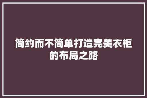 简约而不简单打造完美衣柜的布局之路