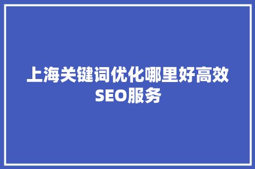 上海关键词优化哪里好高效SEO服务